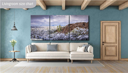 Frozen Desert: The Rare Beauty of Snow in Saguaro National Park Tucson Arizona Print Wall Art Photography Aluminum/Acrylic/Metal/Canvas