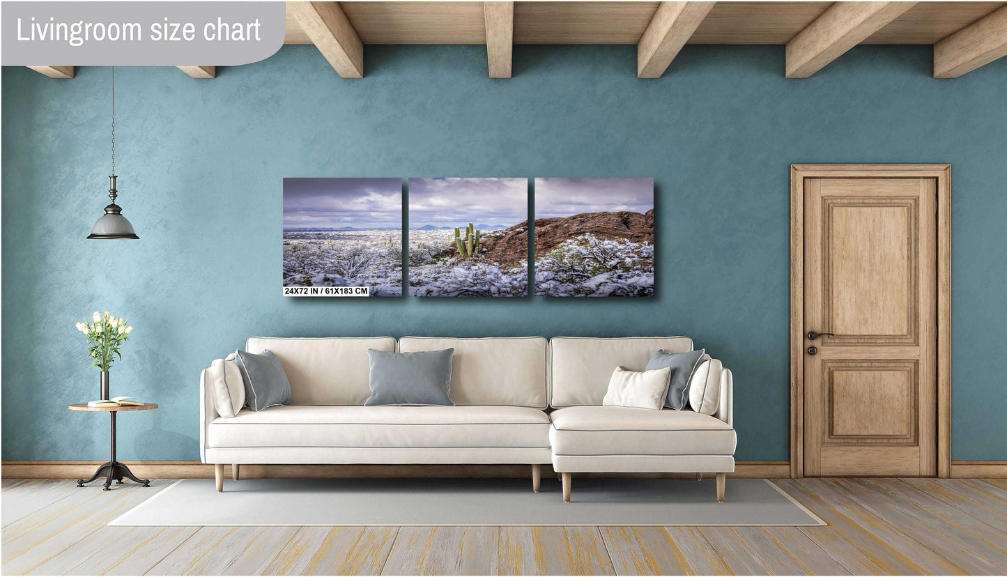 Frozen Desert: The Rare Beauty of Snow in Saguaro National Park Tucson Arizona Print Wall Art Photography Aluminum/Acrylic/Metal/Canvas