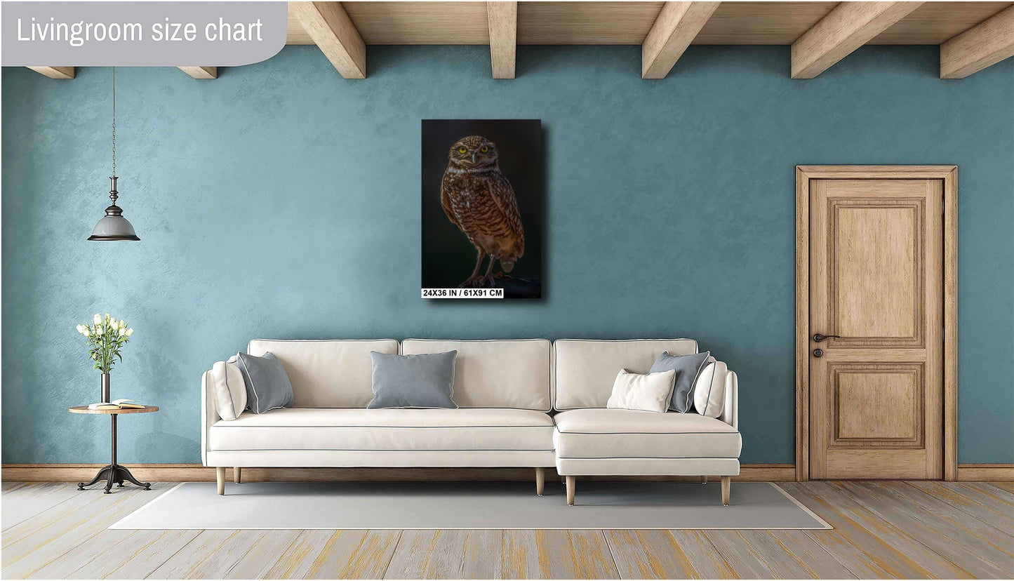 You Lookin’ at Me?: A Burrowing Owl’s Steely Gaze Wall Art Print Bird Photography Portrait Aluminum/Acrylic/Metal/Canvas