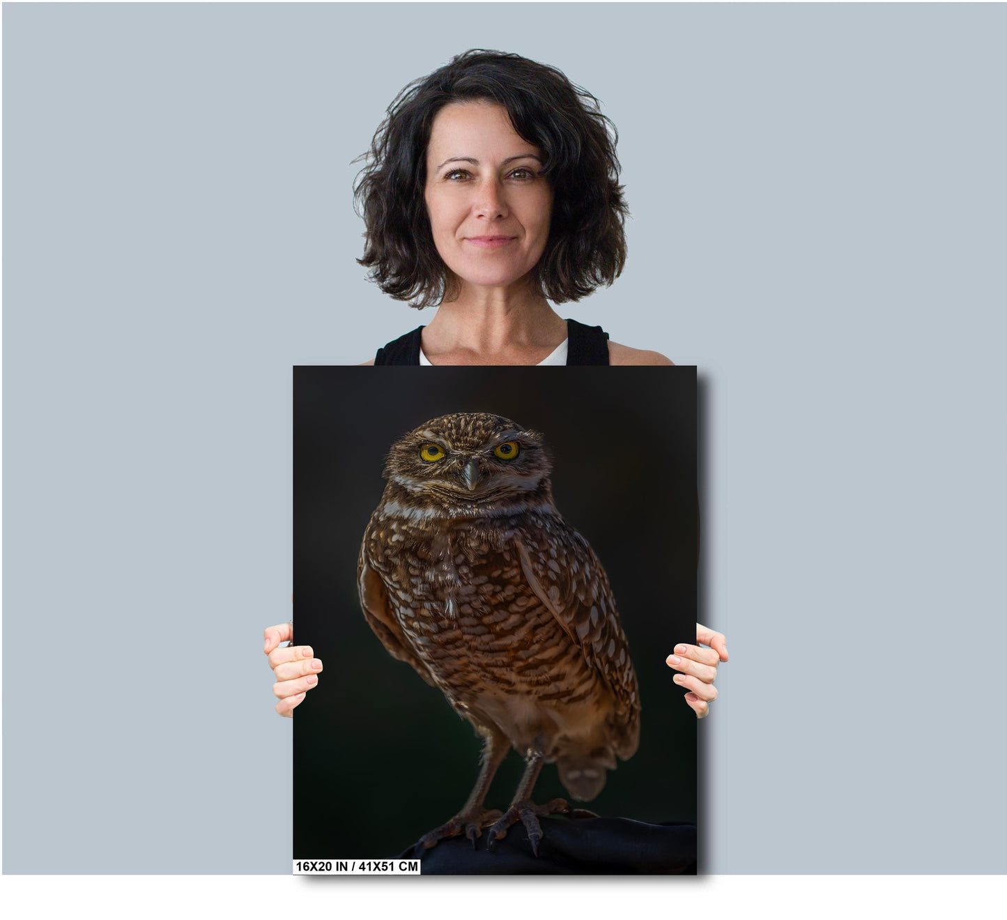 You Lookin’ at Me?: A Burrowing Owl’s Steely Gaze Wall Art Print Bird Photography Portrait Aluminum/Acrylic/Metal/Canvas