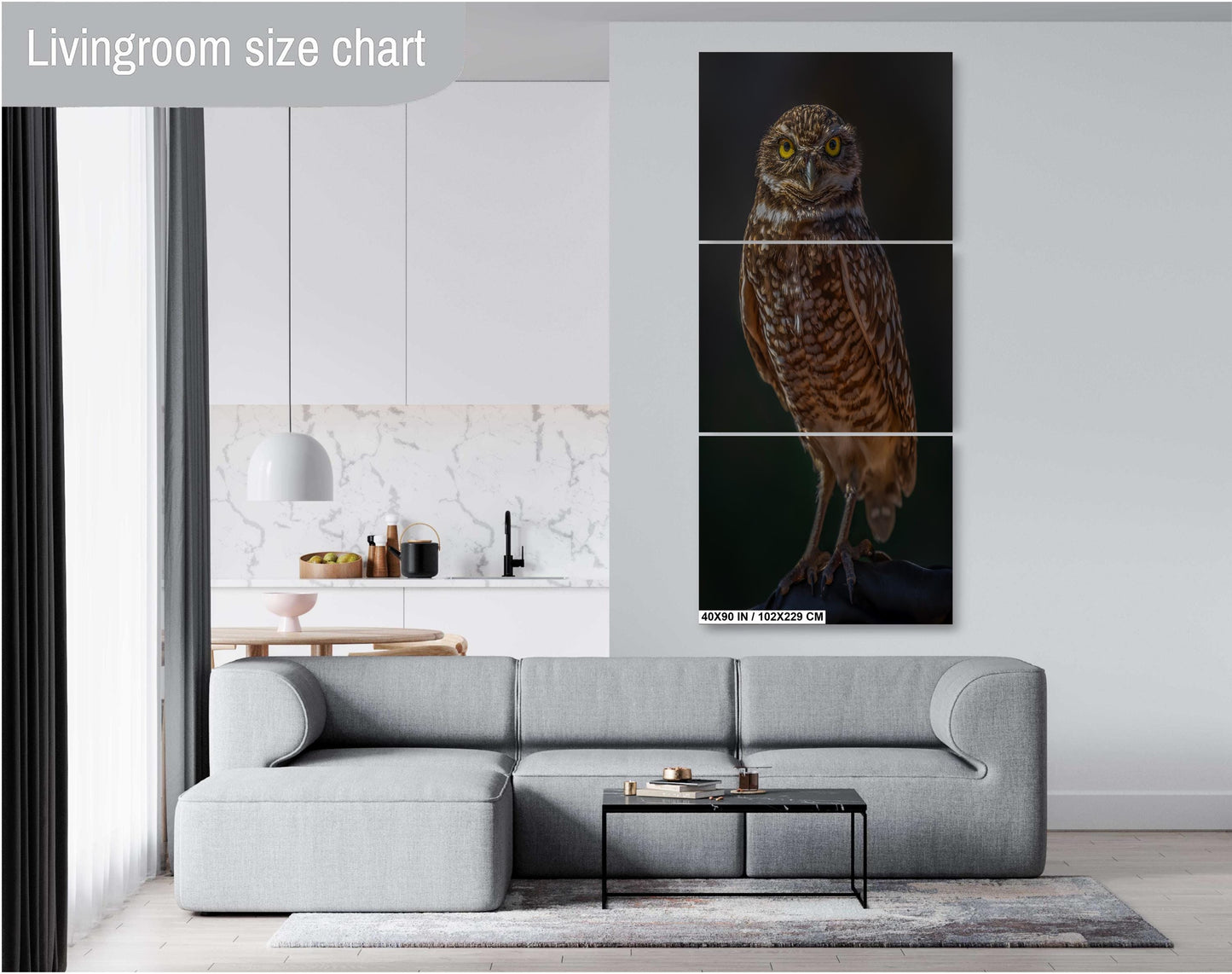 You Lookin’ at Me?: A Burrowing Owl’s Steely Gaze Wall Art Print Bird Photography Portrait Aluminum/Acrylic/Metal/Canvas