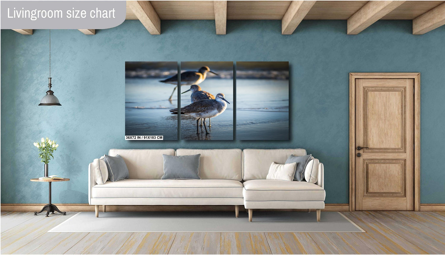 Graceful Willets: Anna Maria Island Coast Florida Wall Art Print Bird Photography Aluminum/Acrylic/Metal/Canvas