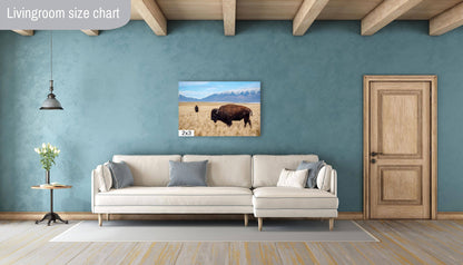 Snow-Kissed Bison: Antelope Island Bison Western Wildlife Metal Canvas Art Print Utah Photography