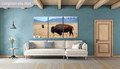 Snow-Kissed Bison: Antelope Island Bison Western Wildlife Metal Canvas Art Print Utah Photography