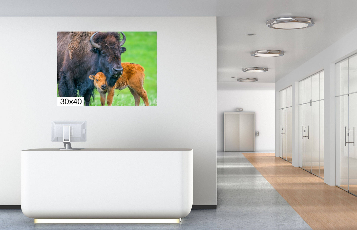 A Mother's Love: Mama and Baby Bison Western Wildlife Photography Canvas Print Animal Wall Art