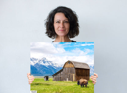 Bison's Haven: Thomas Murphy Barn Snow-capped Mountain Canvas Metal Print Grand Teton National Park Photography Landscape Wall Art