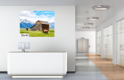 Bison's Haven: Thomas Murphy Barn Snow-capped Mountain Canvas Metal Print Grand Teton National Park Photography Landscape Wall Art