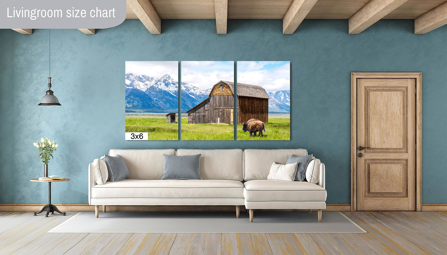 Bison's Haven: The Moulton Barn Snow-capped Mountain Canvas Metal Print Grand Teton National Park Photography Landscape Wall Art