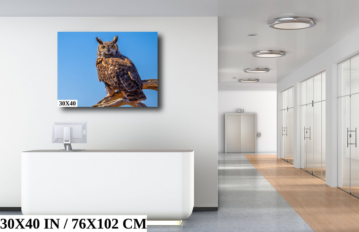 Twilight Guardian: Horned Owl On a Branch Wildlife Photography Wall Art Home Decor Metal Canvas Print