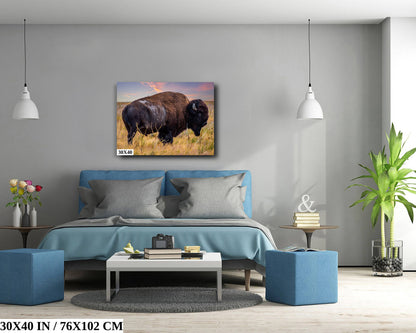 Wilderness Wonders: Bison Wildlife Canvas Print Antelope Island State Park Photography Utah Animal Wall Art