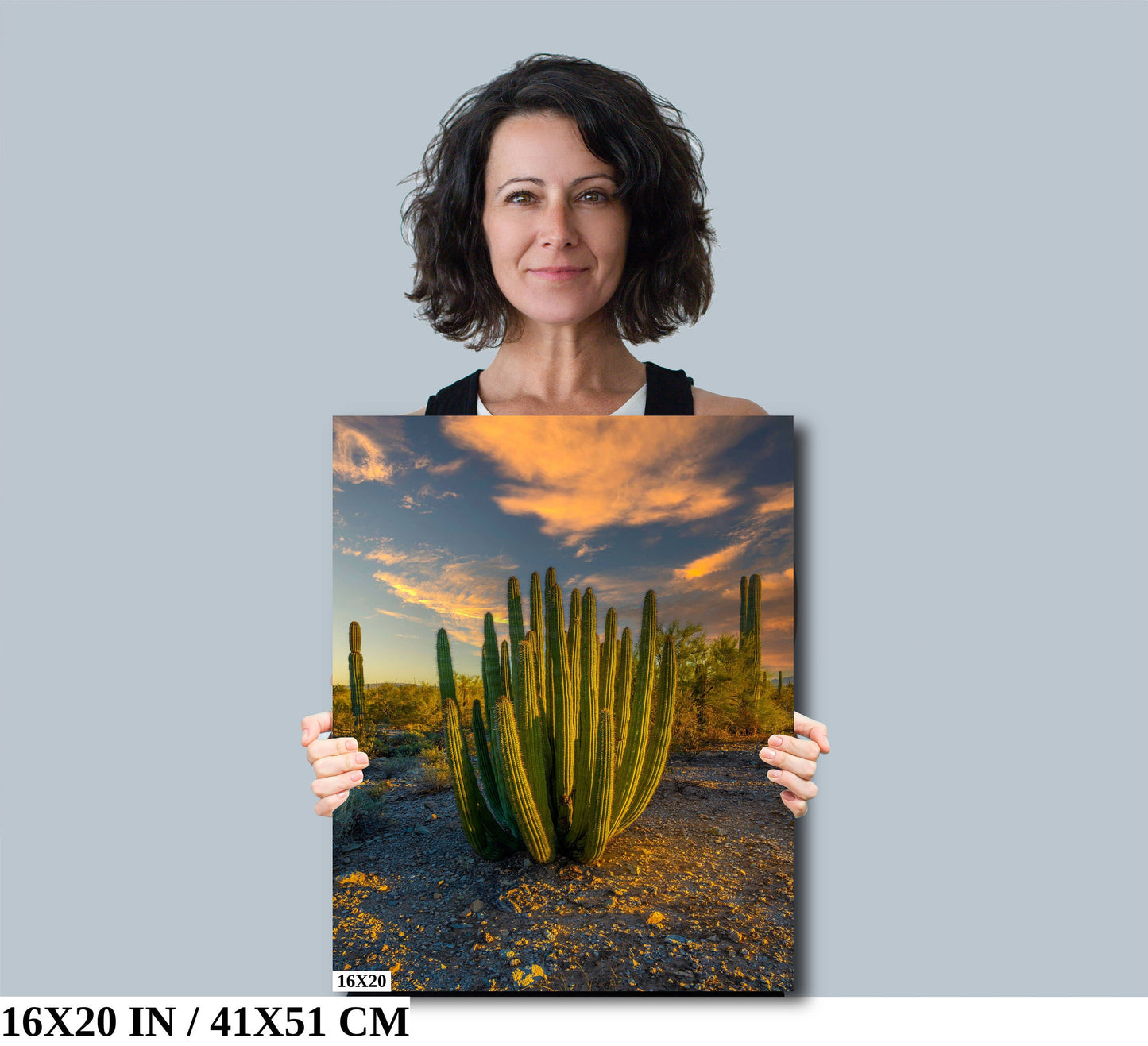 Serenade of Spines: Organ Pipe Cactus National Monument Wall Art Desert Sanctuary Photography Nature Home Decor