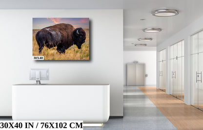 Wilderness Wonders: Bison Wildlife Canvas Print Antelope Island State Park Photography Utah Animal Wall Art