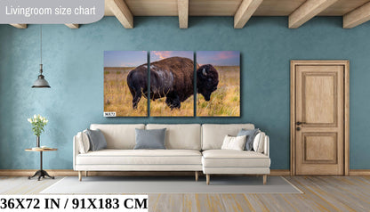 Wilderness Wonders: Bison Wildlife Canvas Print Antelope Island State Park Photography Utah Animal Wall Art