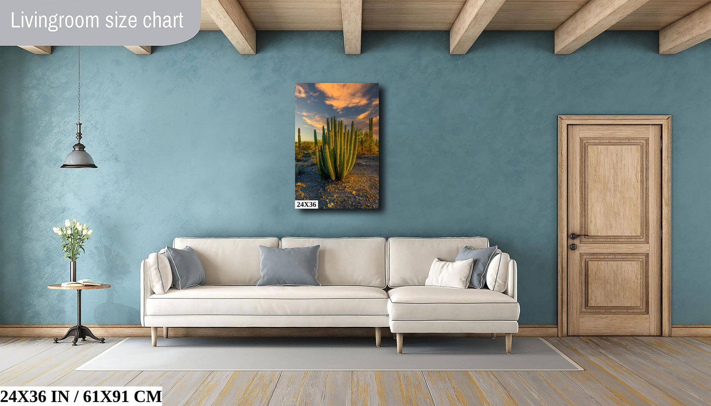 Serenade of Spines: Organ Pipe Cactus National Monument Wall Art Desert Sanctuary Photography Nature Home Decor