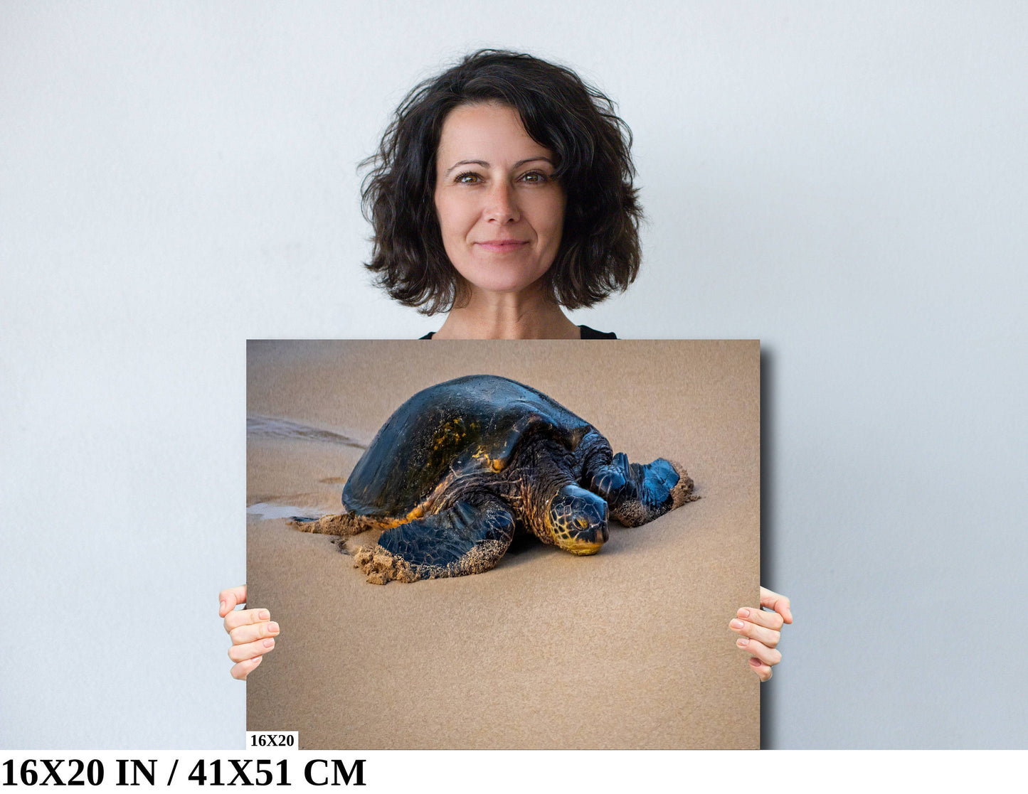 Turtle Serenity: Maui Hawaii Sea Turtle Photography Wall Art Ocean Wildlife Canvas Print