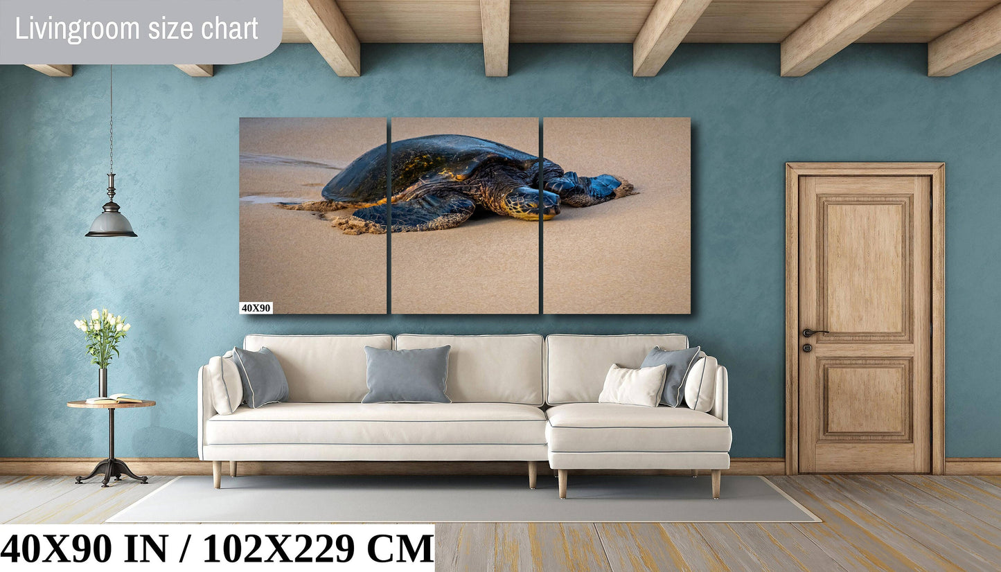 Turtle Serenity: Maui Hawaii Sea Turtle Photography Wall Art Ocean Wildlife Canvas Print