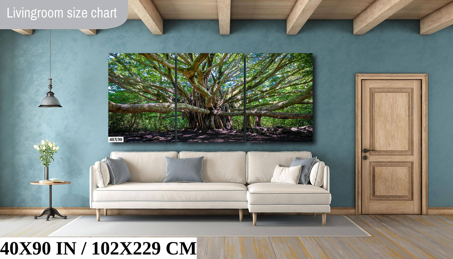 Ancient Majesty: Banyan Tree in Haleakala National Park Photography Maui Nature Canvas Print Hawaii Landscape