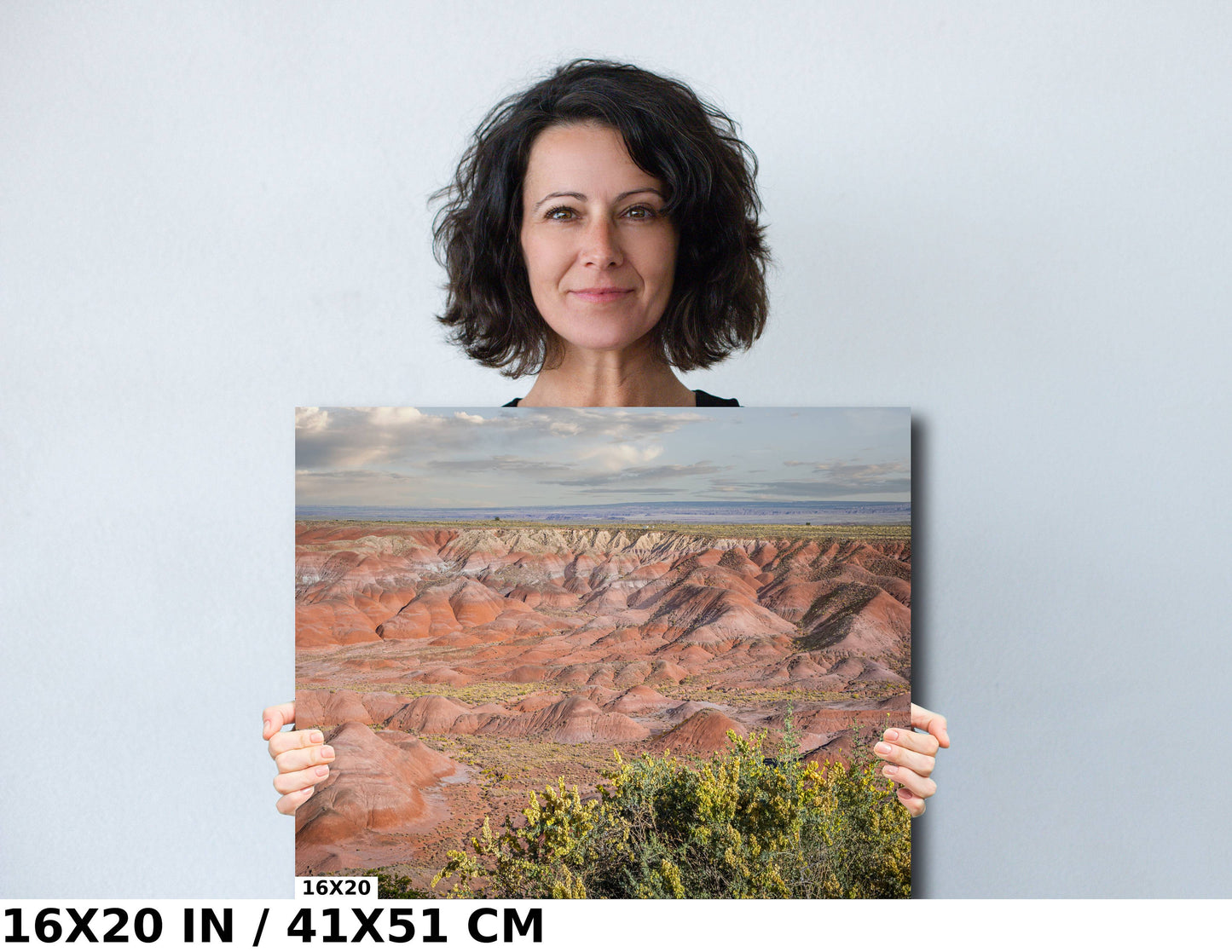 Nature's Color Palette: Painted Desert Arizona Wall Art Metal Acrylic Print Nature Landscape Photography