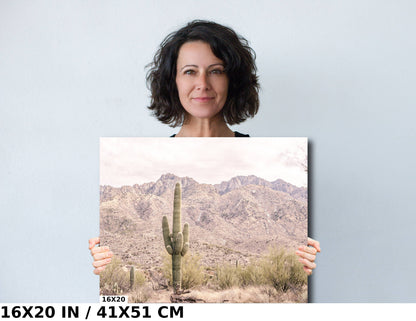 Eternal Desert Solitude: Saguaro Cactus Arizona Wall Art Photography Southwestern Cactus Metal Aluminum Print