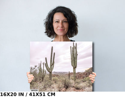 Gold Canyon Wonder: Saguaro Cactus Arizona Wall Art Metal Canvas Print  Desert Landscape Photography