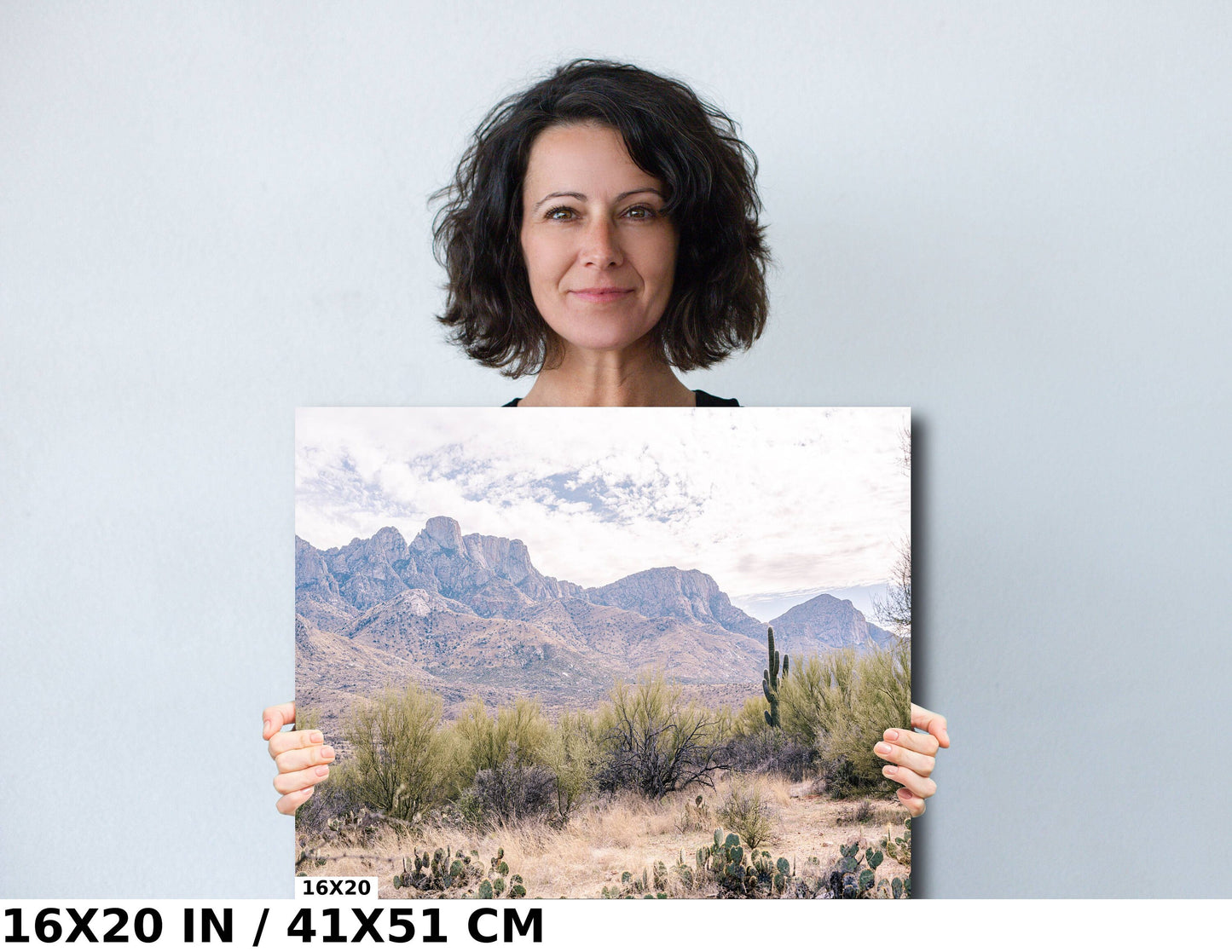 Epic Views and Cactus Hues: Catalina State Park Arizona Wall Art Cactus Desert Metal Acrylic Print