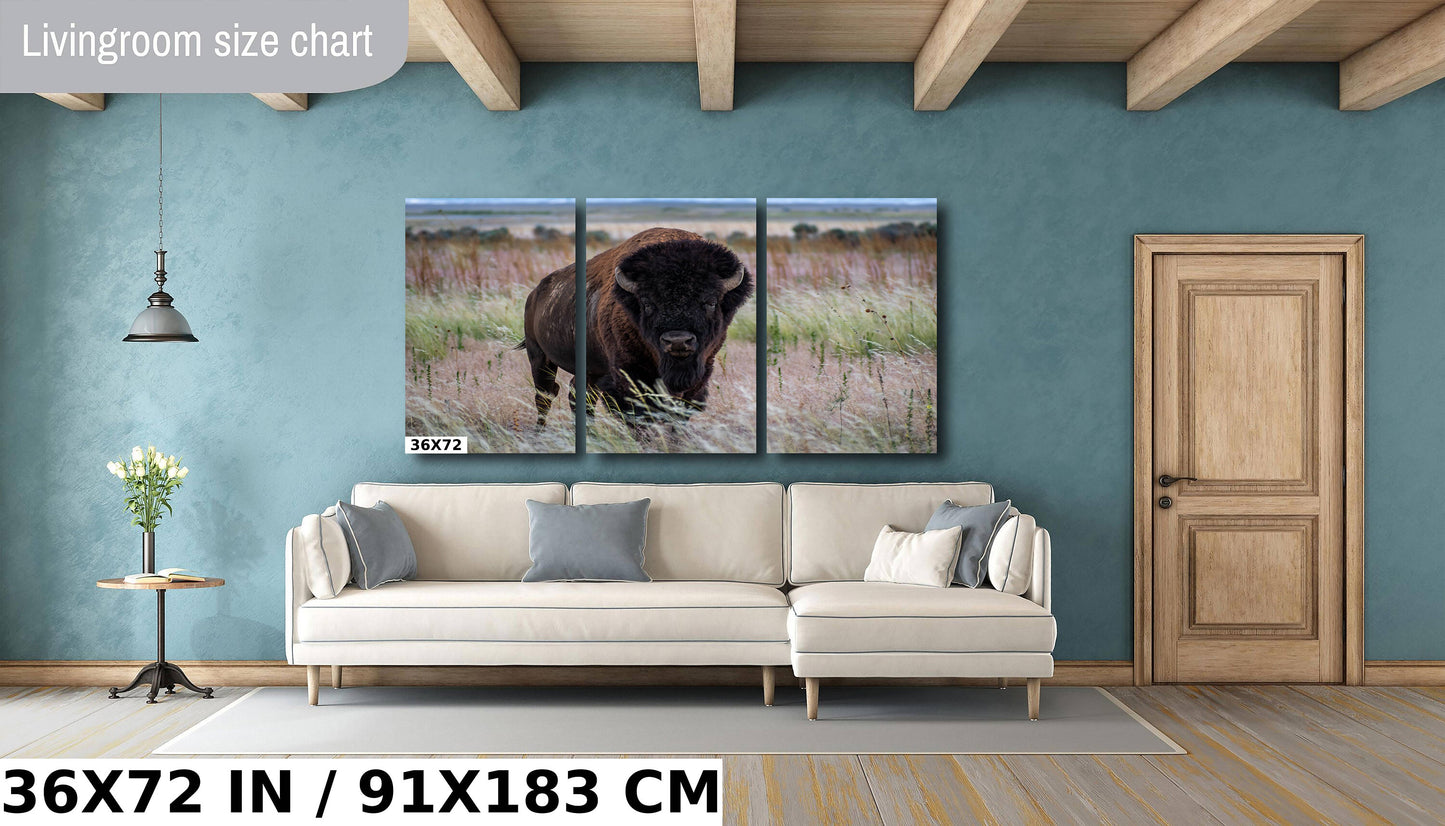 The American Buffalo, Majestic Grassland Giant: American Bison Metal Acrylic Canvas Print Utah Wildlife Photography