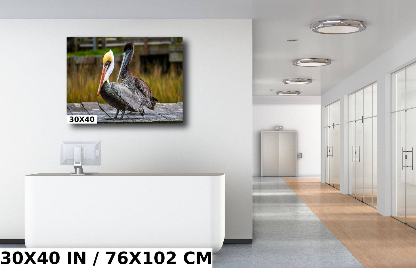 On The Wings of Love: Brown Pelican Male and Female Wall Art Metal Aluminum Print Water Bird Photography