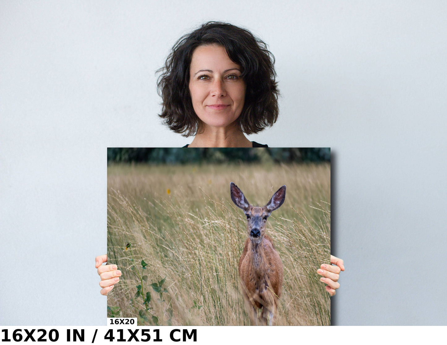 Quiet Meadow Wanderer: Roe Deer at Antelope Island State Park Wall Art Wildlife Photography Metal Acrylic Print