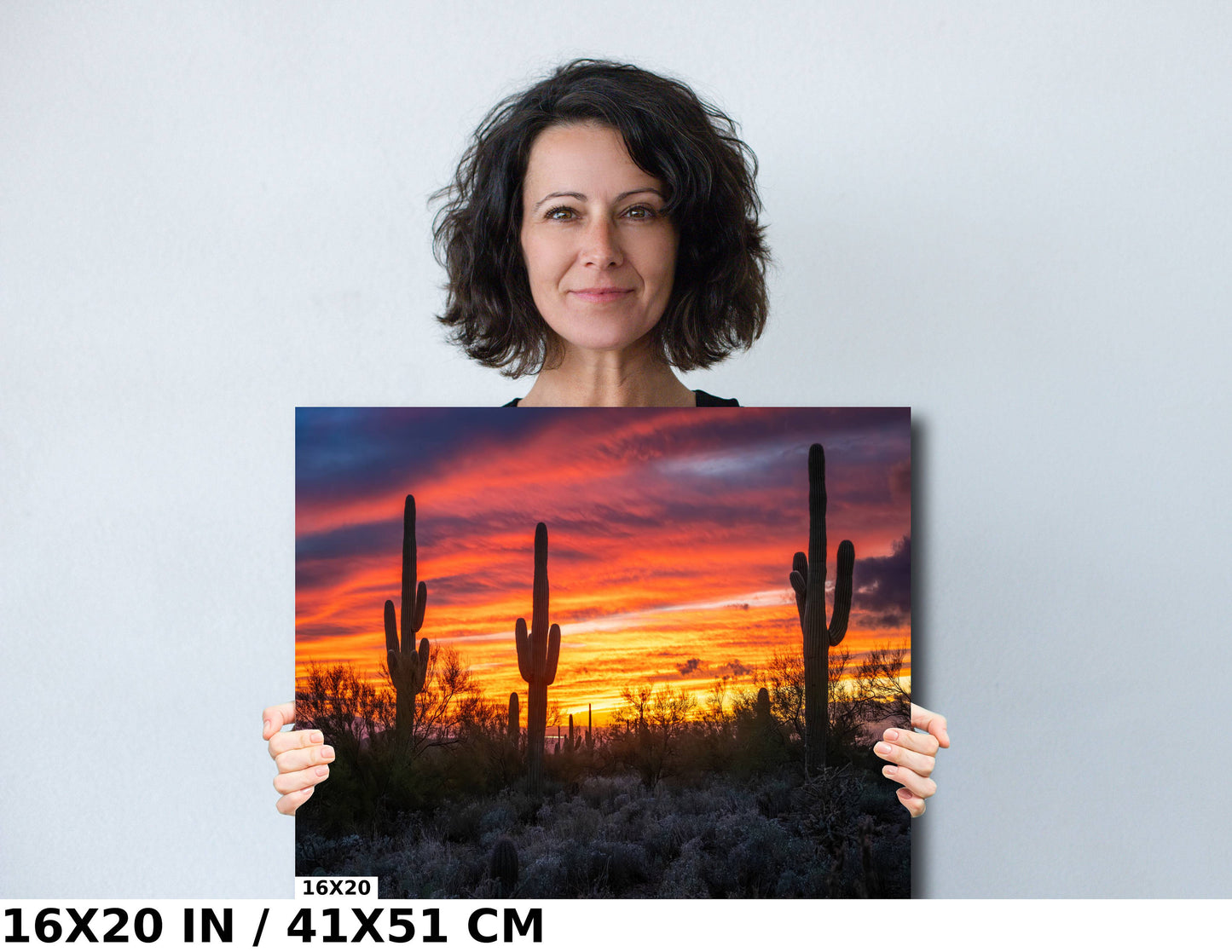 Dazzling Desert Sunset: Saguaro Cactus on Gold Canyon’s Hieroglyphic Trail Metal Canvas Print Arizona Wall Art Photography