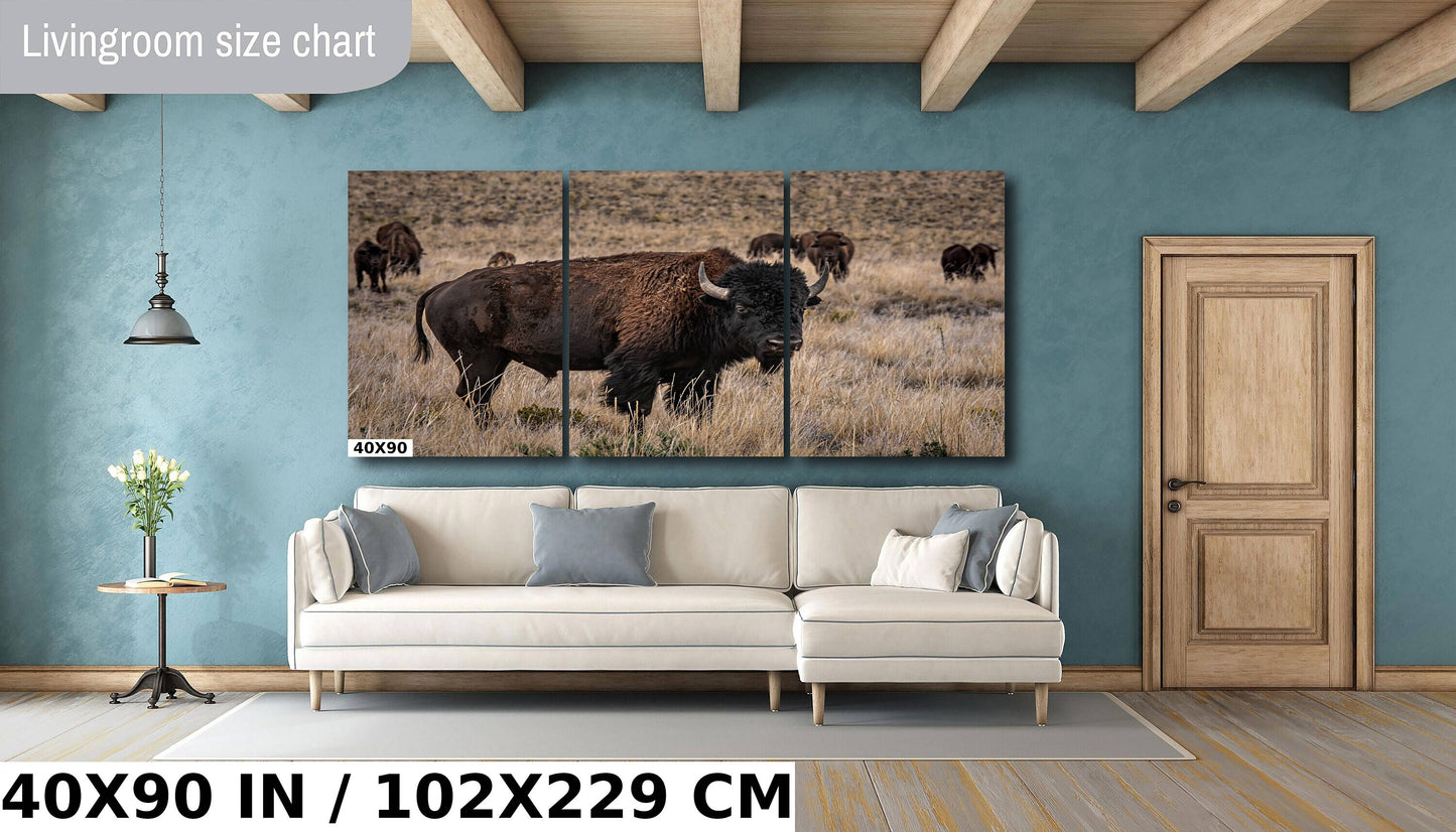 Bison Happy Hour: American Buffalo Herd Wall Art Bison Photography Metal Canvas Print Utah Wildlife