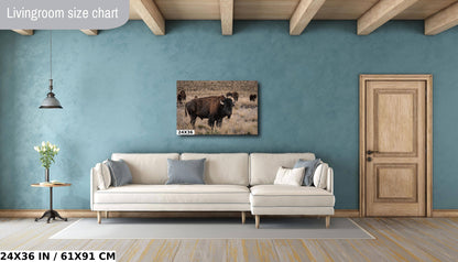 Bison Happy Hour: American Buffalo Herd Wall Art Bison Photography Metal Canvas Print Utah Wildlife