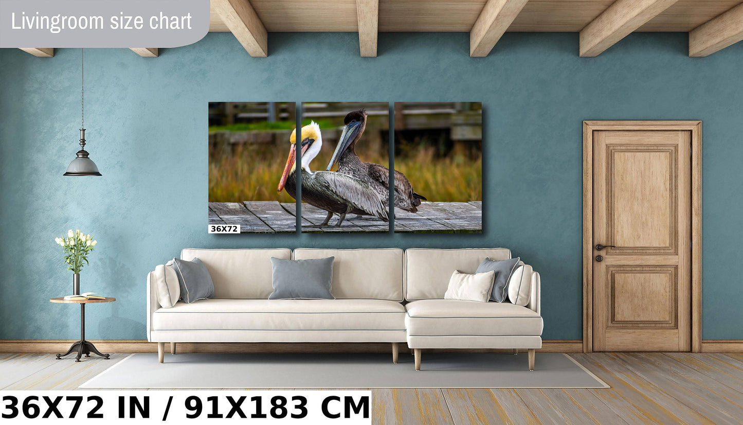 On The Wings of Love: Brown Pelican Male and Female Wall Art Metal Aluminum Print Water Bird Photography