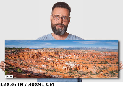 Canyon Kaleidoscope: Bryce Canyon National Park Wall Art Utah Metal Acrylic Print Amphitheater Landscape Photography
