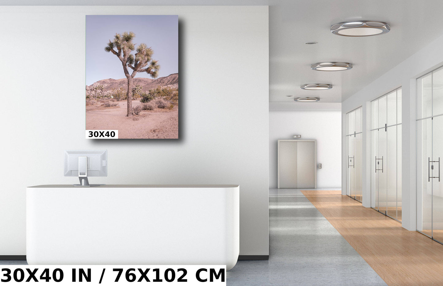 Pastel Joshua Tree: Joshua Tree National Park Metal Acrylic Canvas Print Southern California Photography Desert Landscape Wall Art