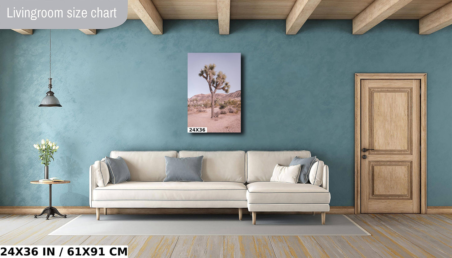 Pastel Joshua Tree: Joshua Tree National Park Metal Acrylic Canvas Print Southern California Photography Desert Landscape Wall Art