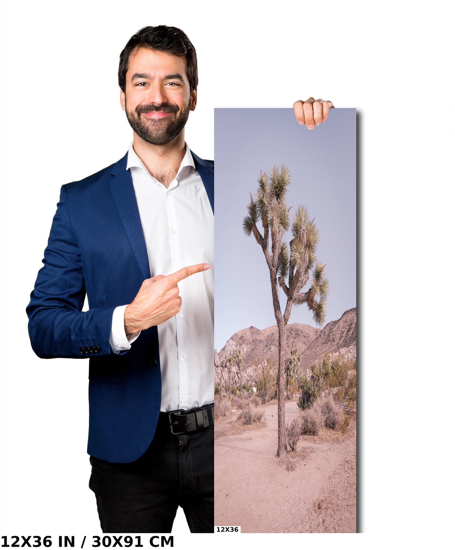 Pastel Joshua Tree: Joshua Tree National Park Metal Acrylic Canvas Print Southern California Photography Desert Landscape Wall Art