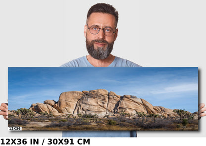 Earth's Sculptors: Rock Formations of Joshua Tree National Park Wall Art California Landscape Metal Canvas Print