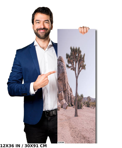 Desert Titans: Joshua Tree Rock Formation Wall Art National Park California Landscape Metal Aluminum Print