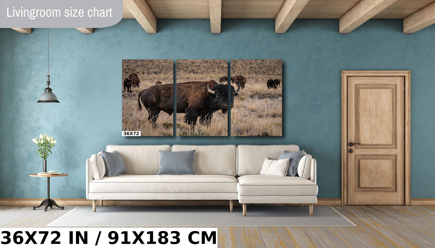 Bison Happy Hour: American Buffalo Herd Wall Art Bison Photography Metal Canvas Print Utah Wildlife