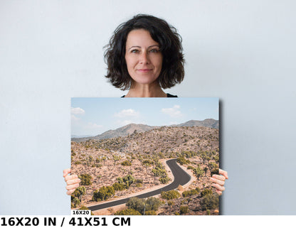 Journey Through Joshua: Joshua Tree National Park Wall Art California Landscape Metal Aluminum Print