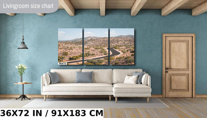 Journey Through Joshua: Joshua Tree National Park Wall Art California Landscape Metal Aluminum Print