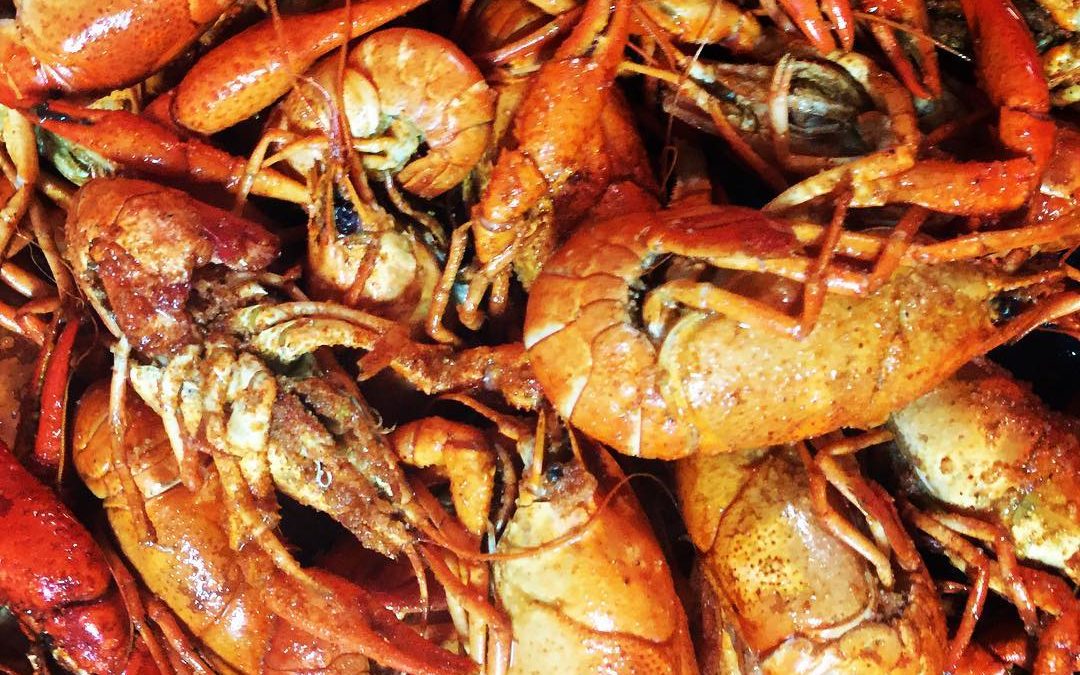 CRAWFISH  
#backincajuncountry  #crawfish  #yum  #travelphotography #bettysrvpa…