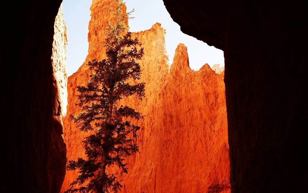 Peekaboo Loop Trail at Bryce Canyon  National Park.  #ilovehiking #getoutonthetr…