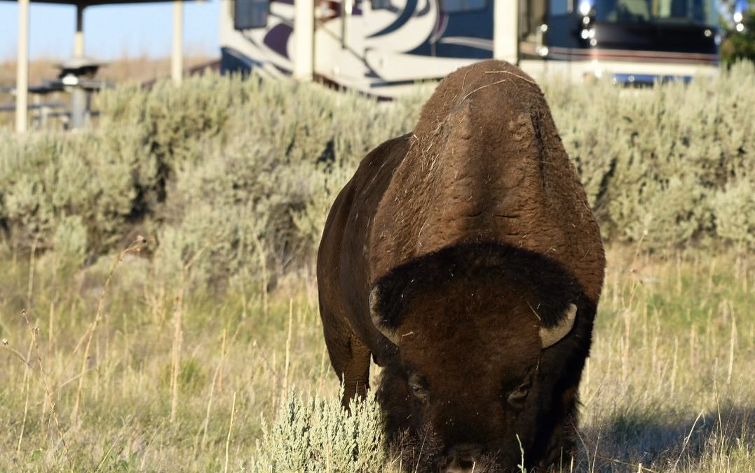 After a 5 day delay in the SLC area, we are finally back on the road again. RV R…