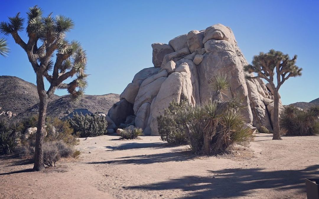 I don’t know how many times this year I have said a scene seemed otherworldly. #…