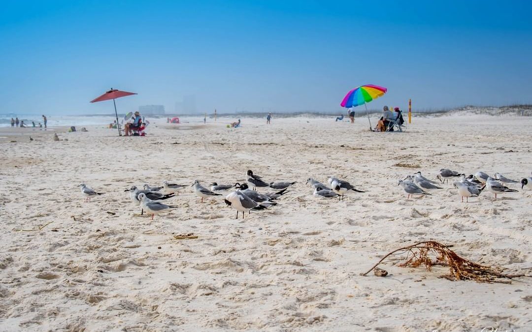 Wishing you were at the beach right now? Me too!
“Leave footprints of love and …