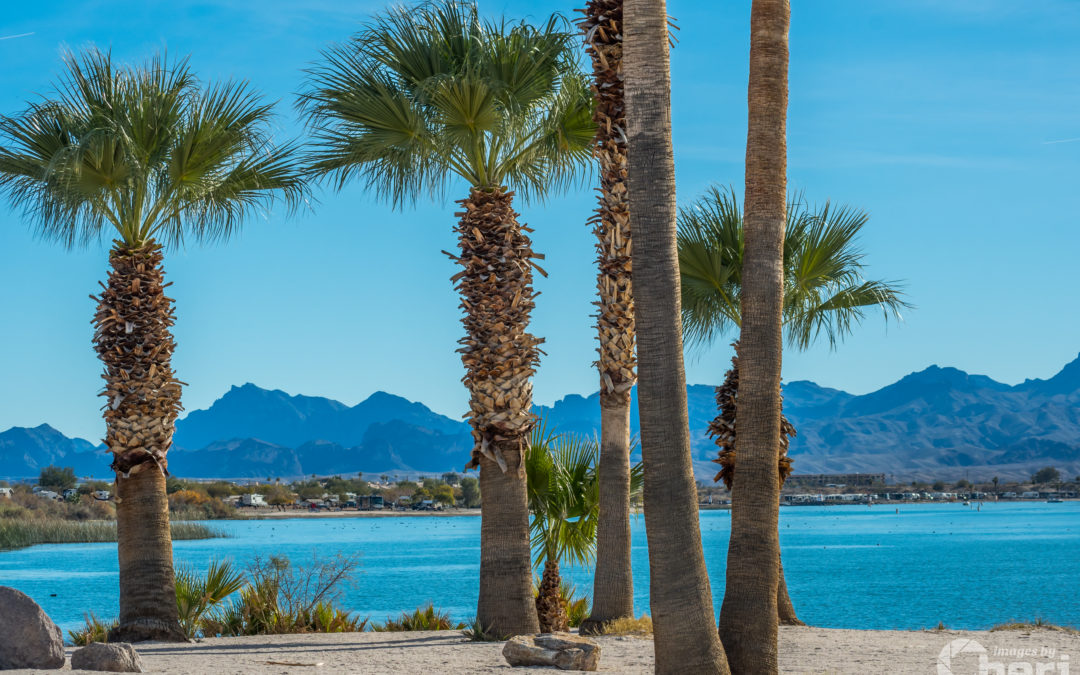 The American Southwest’s 7 Most Breathtaking Spots For Camping In The Desert