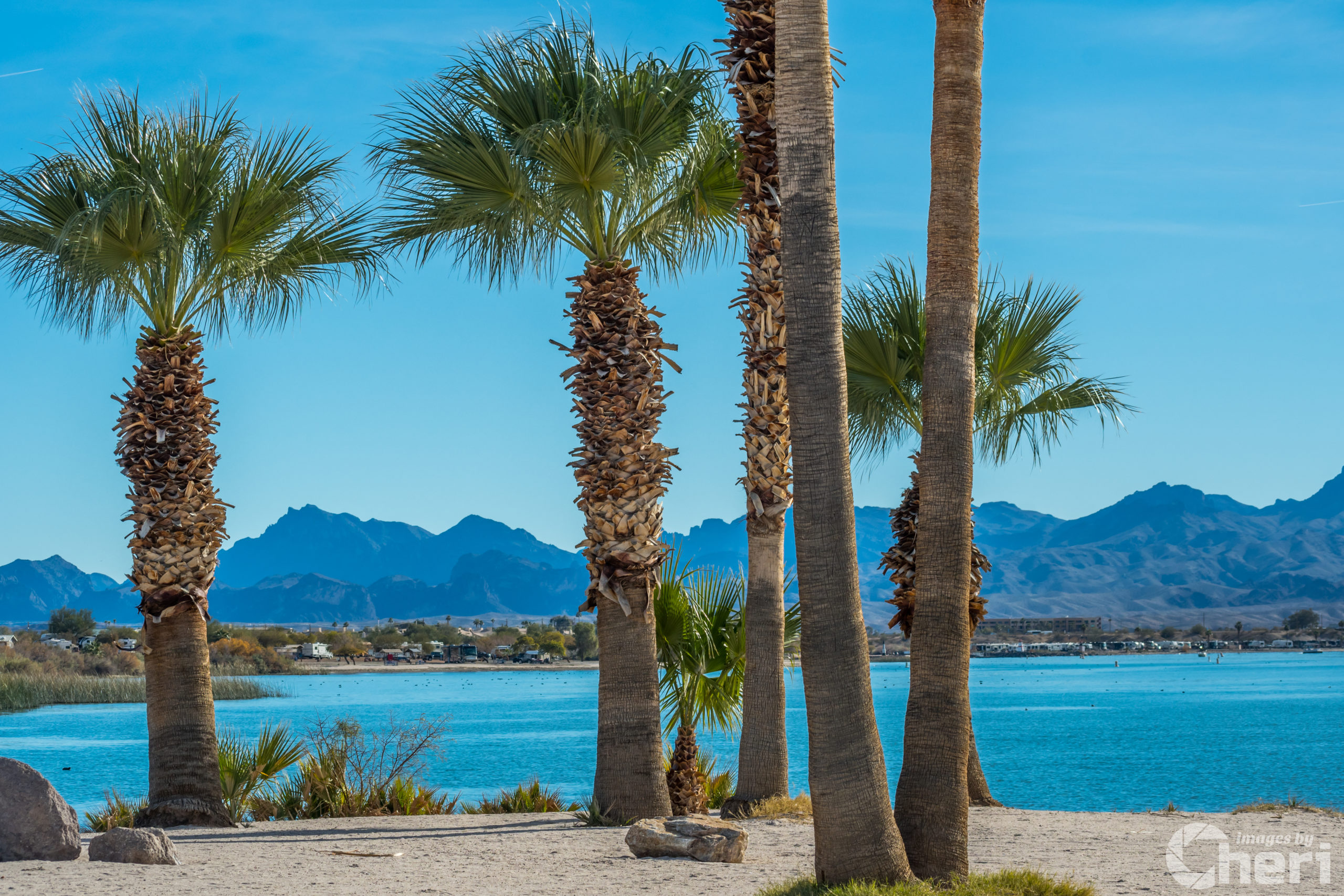 The American Southwest’s 7 Most Breathtaking Spots For Camping In The Desert The American Southwest’s 7 Most Breathtaking Spots For Camping In The Desert