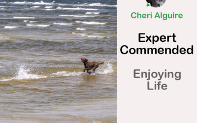 PhotoCrowd.com: Commended by the Expert in ‘Enjoying Life’ Contest
