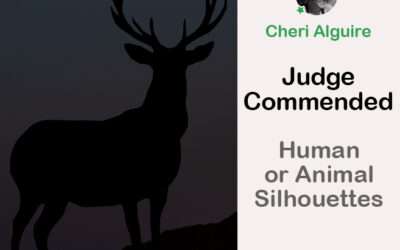 PhotoCrowd.com: Commended by the Judge in ‘Human or Animal Silhouettes ’ Contest
